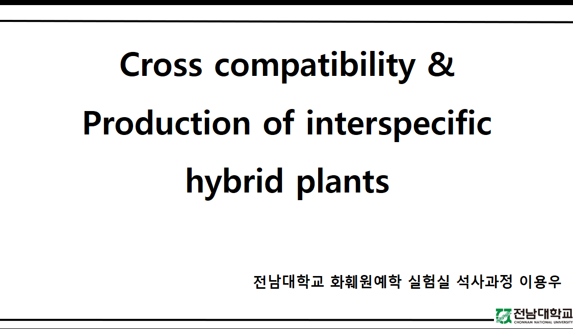 [세미나] 수국 종간교잡체 평가 및 혼종성 확인 첨부 이미지