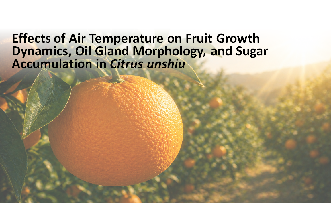 [세미나] Effects of Air Temperature on Fruit Growth Dynamics, Oil Gland Morphology, and Sugar Accumulation in Citrus unshiu 첨부 이미지